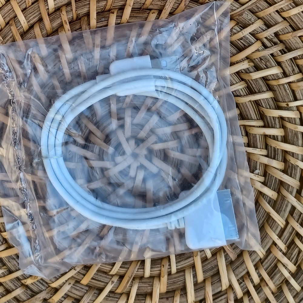 Apple iPod charger